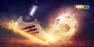 cách bắt kèo rung