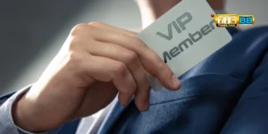 cấp bậc thành viên vip tin88